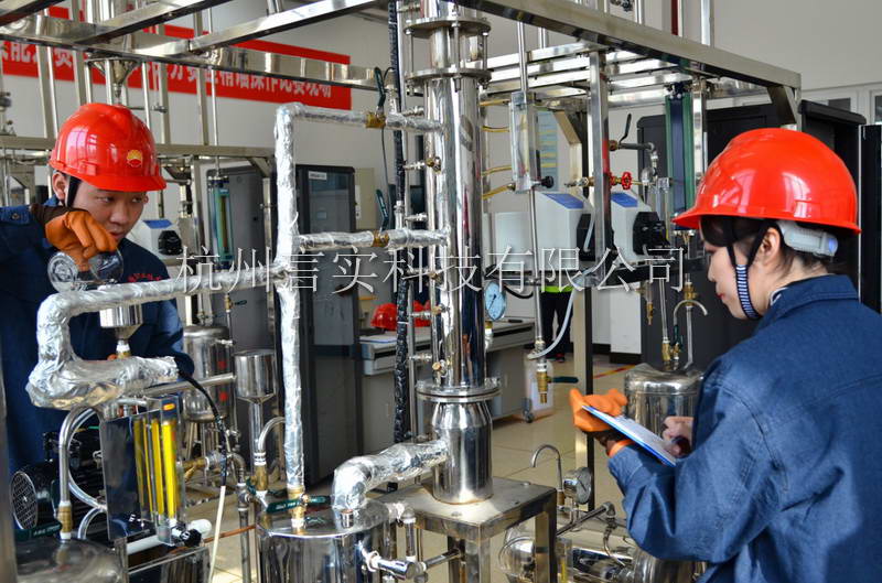  乐成案例 今年会